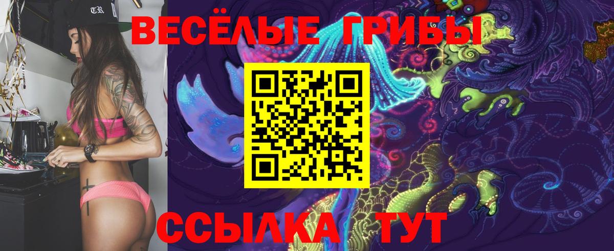 Псилоцибиновые грибы мицелий  Вход с VPN  Шатура 