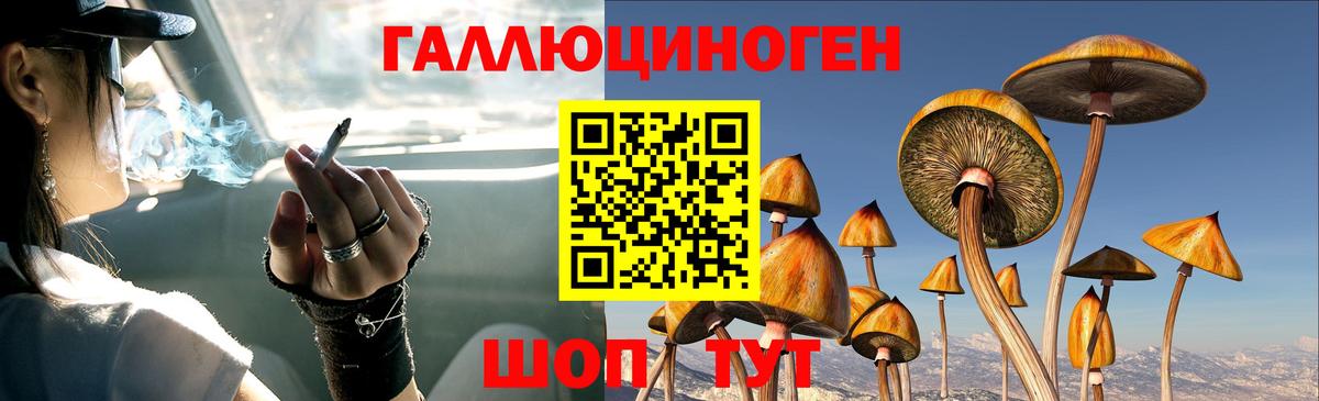 Псилоцибиновые грибы прущие грибы Шатура